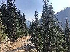 Maple Heather Trail, WA